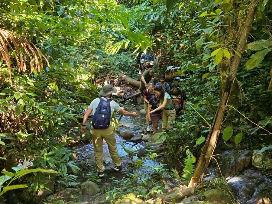 Chiang Rai: Jungle Adventure-Group Trekking & Bamboo Cooking - Pa Soert Hot Spring and the first climb