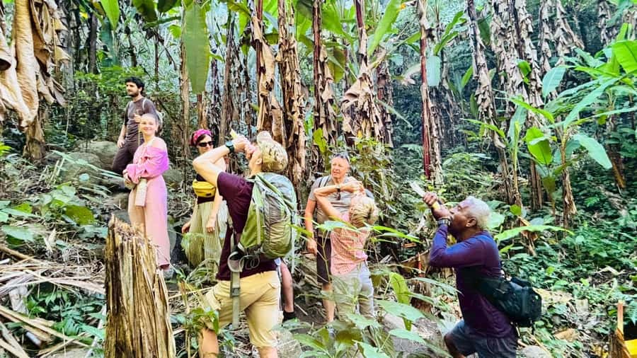 Chiang Rai: Jungle Adventure-Group Trekking & Bamboo Cooking - Waterfall swim after the hard work