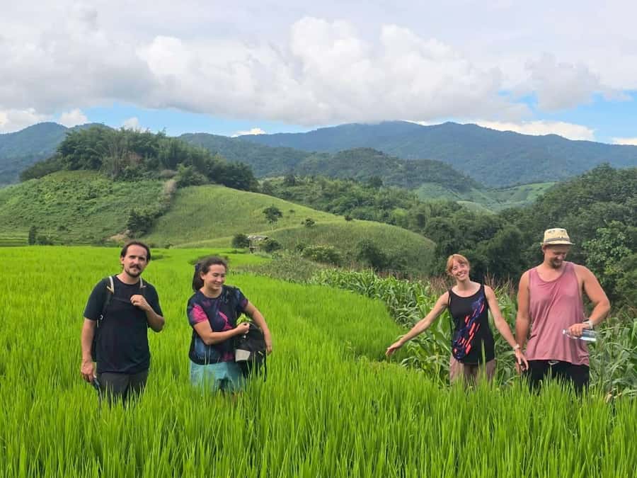Chiang Rai: Jungle Adventure-Group Trekking & Bamboo Cooking - The final hot spring soak