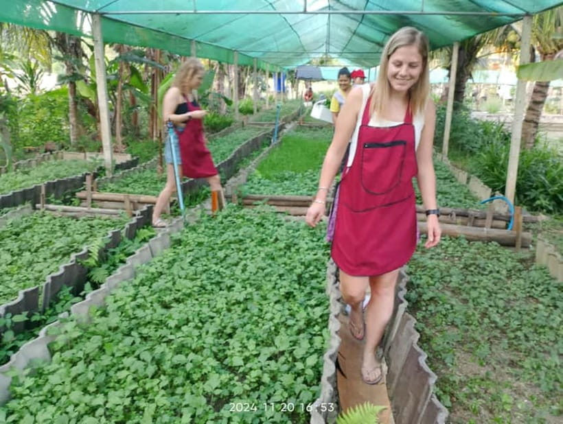 Chiang Rai:Lanna Home Cooking Class at Give Green Farm House - Choosing between curries, stir-fries, salads, and desserts