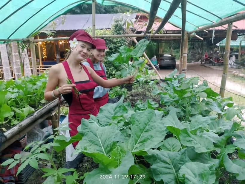 Chiang Rai:Lanna Home Cooking Class at Give Green Farm House - Who will enjoy this Chiang Rai cooking class?