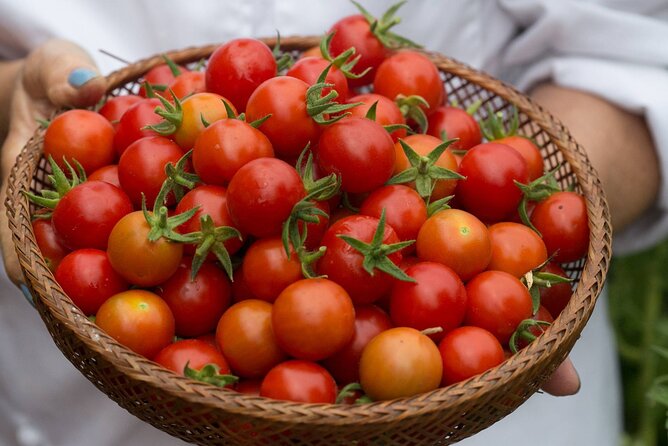 Cook a Greek Feast Steps From the Acropolis (8-Course Meal) - Koulouri and the pleasure of working with bread