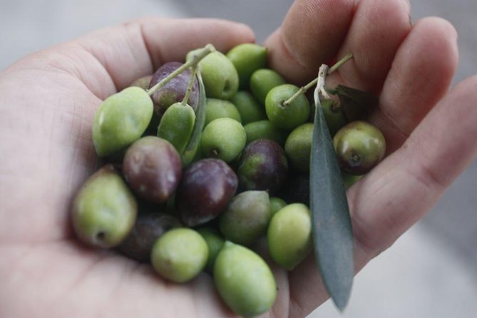 Cook with Locals | Cretan cooking Class at Archanes Village - Cooking Cretan food in Ano Archanes