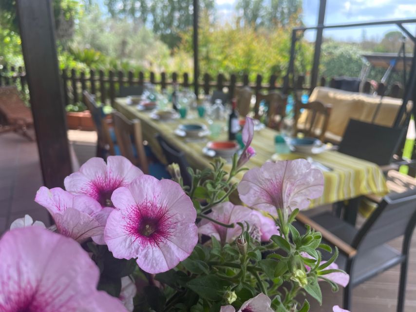 Cooking class, dinner and wine tasting in Lecce (Corigliano) - Sitting down to a Salento dinner