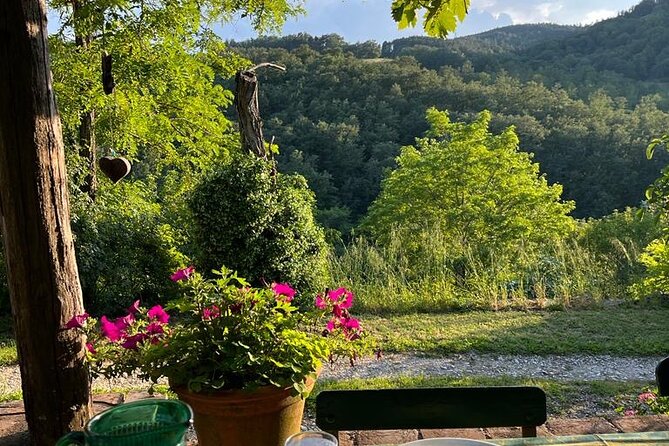 Cooking Class for Pasta Lovers in Florence Country House - Choosing your pasta course