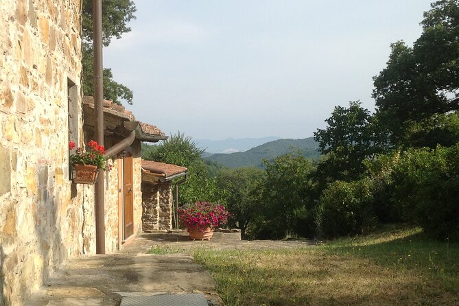 Cooking Class for Pasta Lovers in Florence Country House - Making tiramisu from eggs, mascarpone, and coffee
