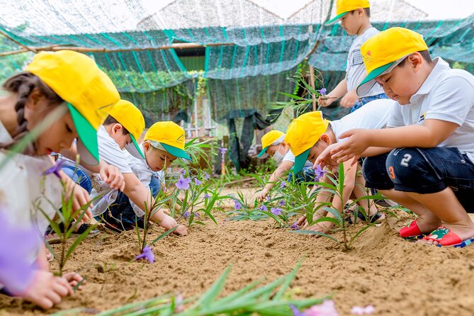 Cooking Class Hoi An - Organic Garden - Farming Tour-Handicrafts - Getting there and planning your time
