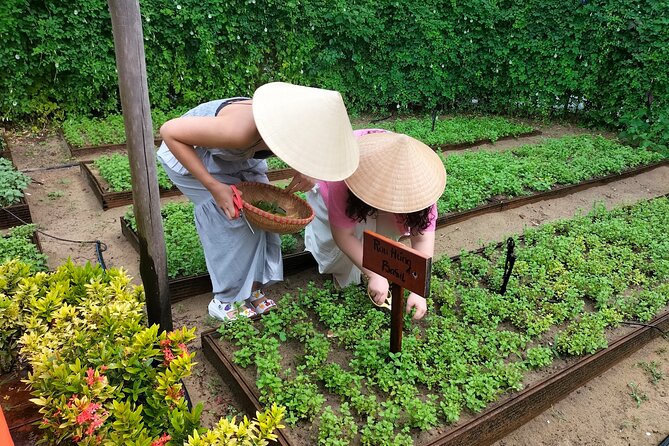 Cooking Class Hoi An - Organic Garden - Farming Tour-Handicrafts - The nearby riverside resort as an optional extra