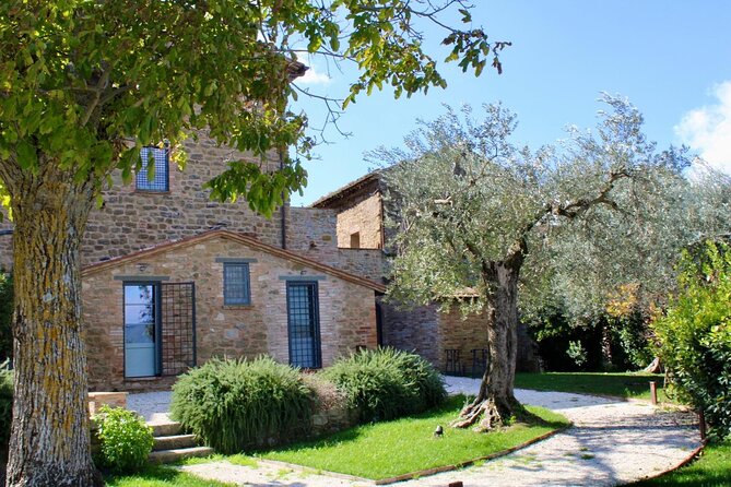 Cooking Class in a Historical Oil Mill near Trasimeno Lake - What happens when you arrive at Fattoria Luca Palombaro