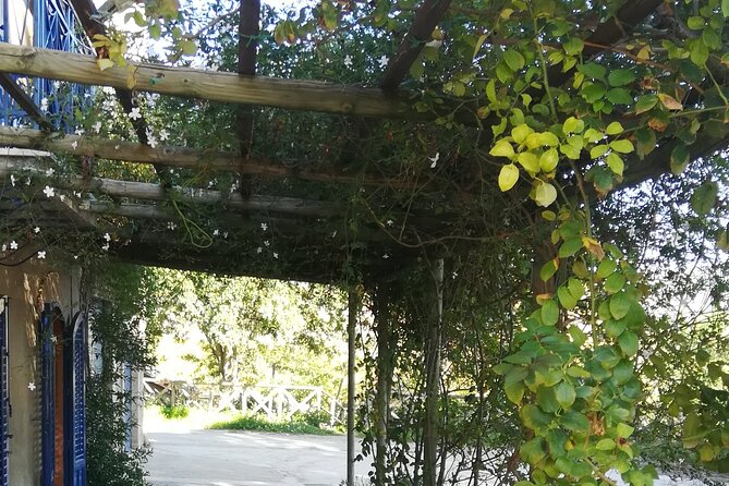 Cooking Class in a Sicilian countryhouse - What the named places mean for your day