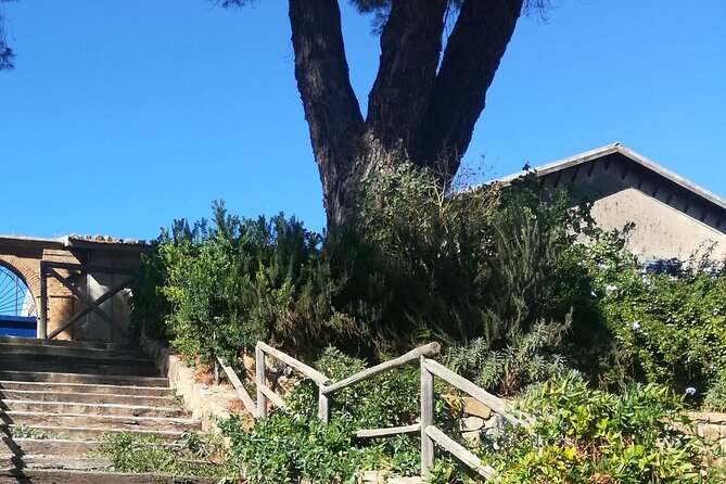 Cooking Class in a Sicilian countryhouse - Why the private format matters