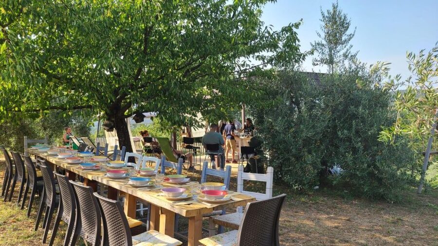 Cooking class in our family farm in Chianti with lunch - The best parts, and the small compromises