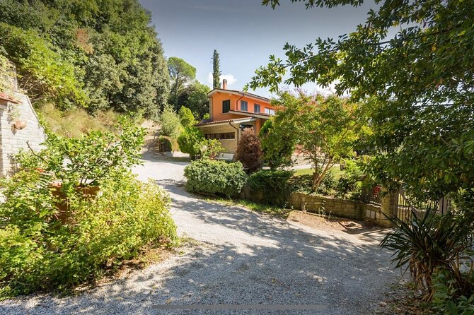 Cooking class in Tuscan Villa near Cortona - Making tagliatelle by hand