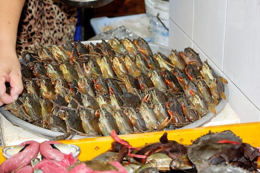 Cooking Class with Ben Thanh Market visit - The food, drinks, and three-course format