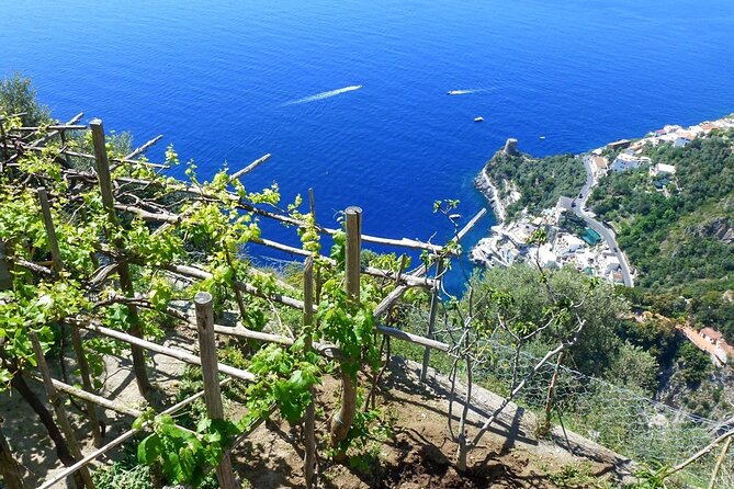Cooking Class with garden visit - A three-course meal with wine, cheese, and a view