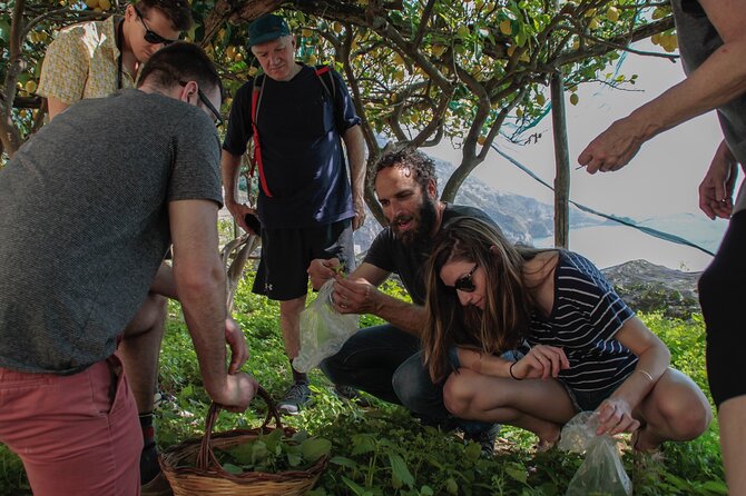 Cooking Class with garden visit - Who should book this Praiano cooking class?