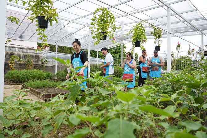 Cooking Class with Organic Farm in Chiang Mai at Mama Noi - Spice levels, vegetarian choices, and menu flexibility