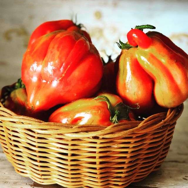 Cortona: Pasta and Pizza Cooking Class - Key points to know before booking