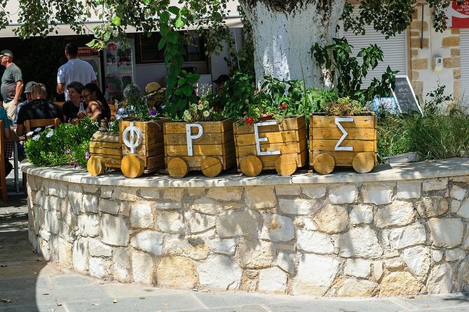 Cretan Delights - Wine, Olive Oil & Cooking Workshop from Chania - Is $474.33 a fair price?