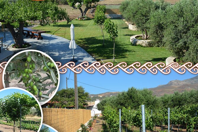 Cretan Traditional Cooking Lessons - Key points to know before booking
