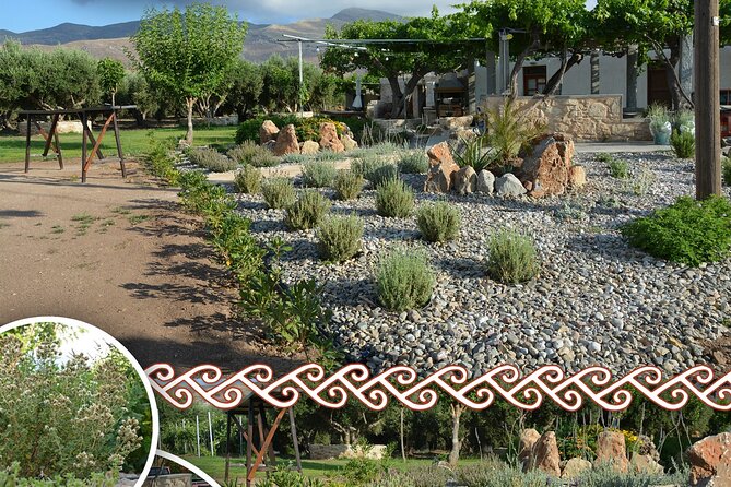 Cretan Traditional Cooking Lessons - Who will enjoy this five-hour evening