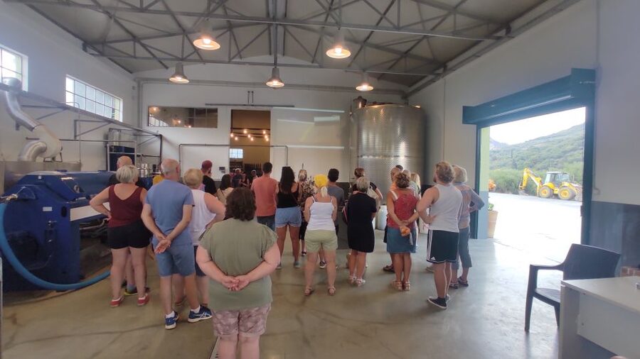 Crete: Sightseeing Day Trip with Cooking Lesson and Lunch - Olive oil from fruit to bottle