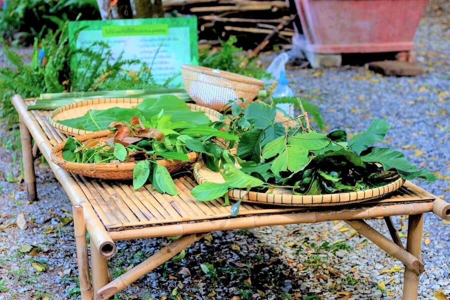 Cultural immersion: Thai cooking, rice farming, eco printing - Key points to know before booking