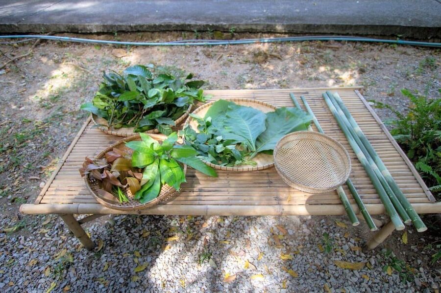 Cultural immersion: Thai cooking, rice farming, eco printing - Practical details for a smoother day