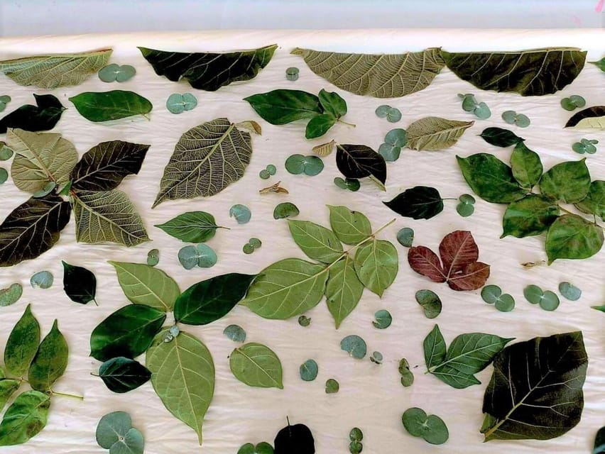 Cultural immersion: Thai cooking, rice farming, eco printing - Fruit trees, Miang Kham, and leaf printing