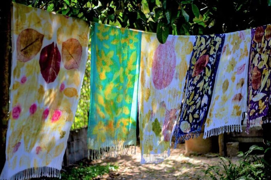 Cultural immersion: Thai cooking, rice farming, eco printing - Cooking five Thai favorites in the countryside