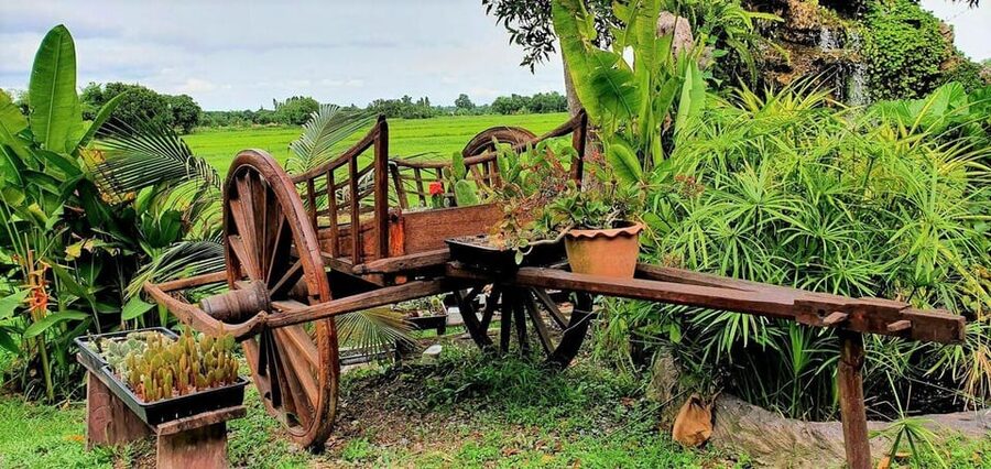 Cultural immersion: Thai cooking, rice farming, eco printing - Nakhon Nayok market and the first taste of local life