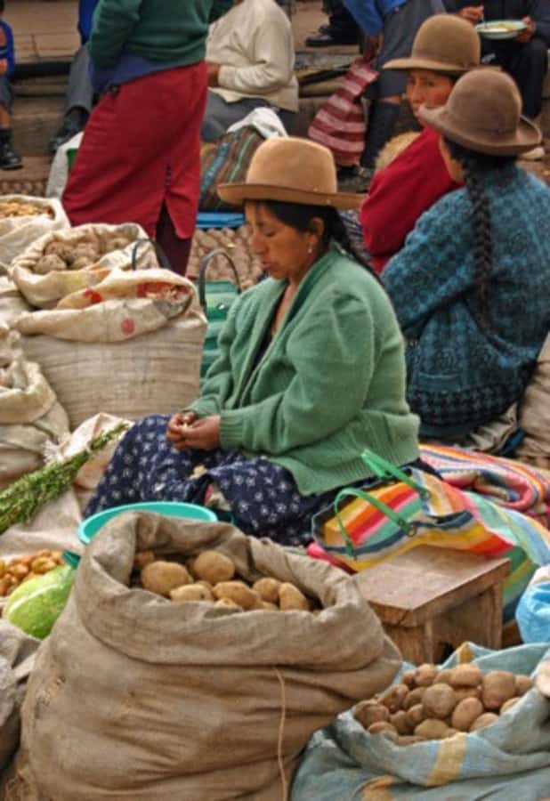 Cusco: 3-Hour Peruvian Cooking Class - Starting at ChocoMuseo near Plaza Regocijo