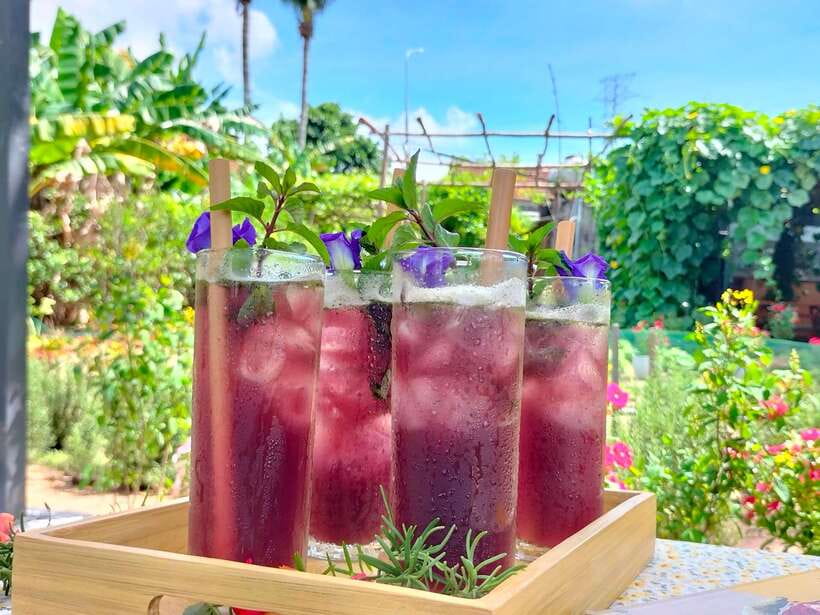 Da Nang Vegetarian Cooking and coffee Class - Key points to know before booking