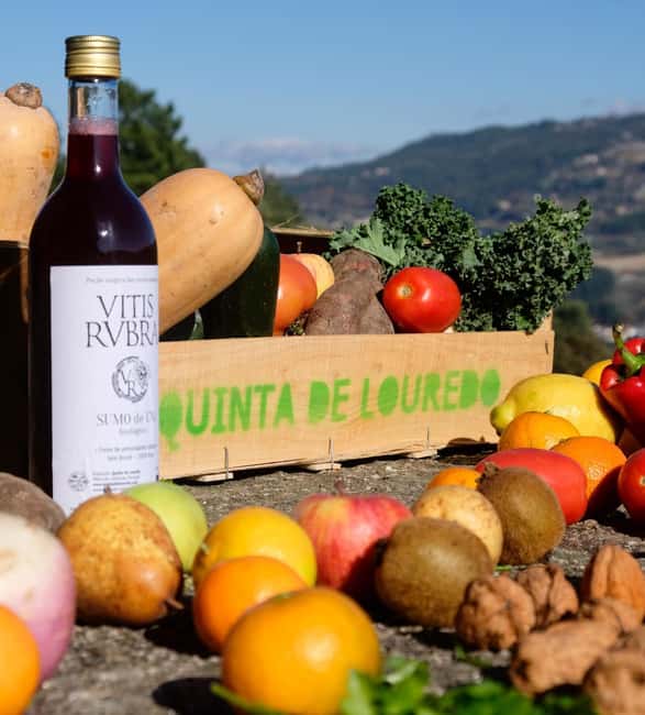 Douro Valley: Traditional Cooking Class, Farm Tour and Lunch - Walking among animals, orchards, and vineyards