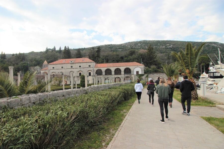 Dubrovnik: Private Cooking Experience with Wine Tasting - Peljesac wine tasting with local character