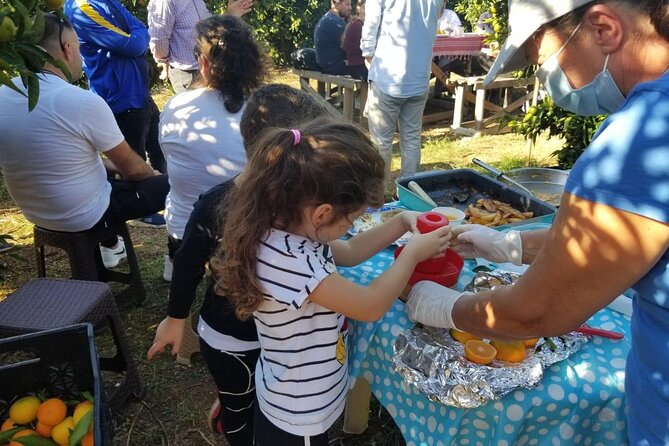 Family Mandarin Farming Tour with Traditional Cooking Lunch - Soraldo Nebo and the local connection