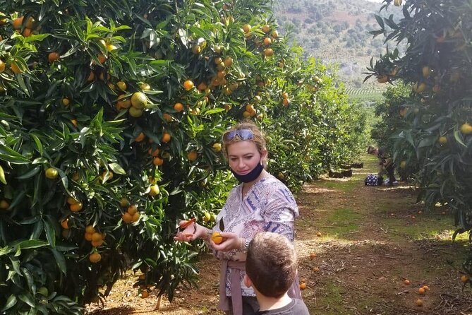 Family Mandarin Farming Tour with Traditional Cooking Lunch - What the two stops really mean