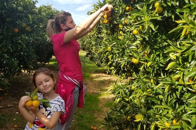 Family Mandarin Farming Tour with Traditional Cooking Lunch - Booking details worth checking first