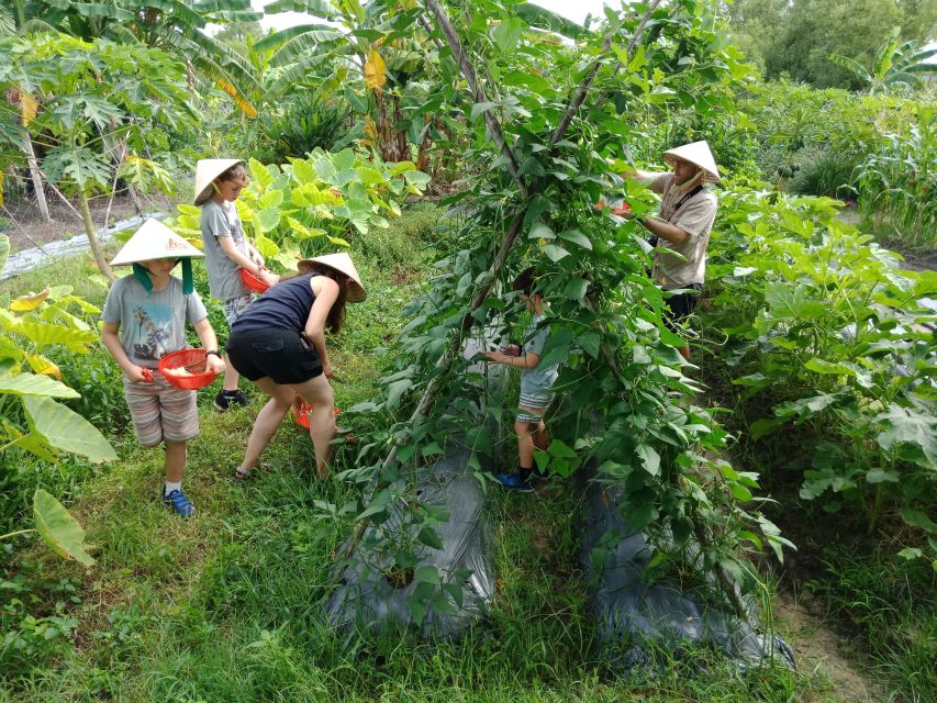 Farm-To-Table Healthy Cooking Class: Half-Day Tour - Morning or afternoon class?