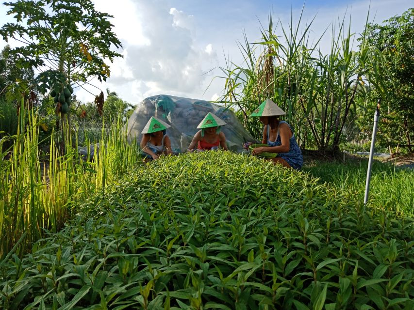 Farm-To-Table Healthy Cooking Class: Half-Day Tour - Why this cooking class begins in the garden