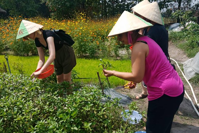 Farm-To-Table Healthy Cooking Class in Ho Chi Minh City - Cooking four dishes with a master chef