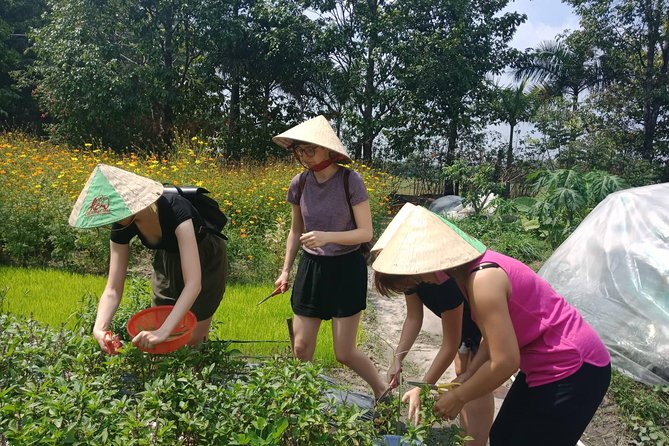 Farm-To-Table Healthy Cooking Class in Ho Chi Minh City - What the healthy cooking focus means