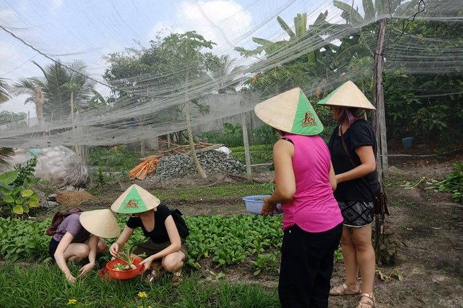Farm-To-Table Healthy Cooking Class in Ho Chi Minh City - Is $67 a fair price?