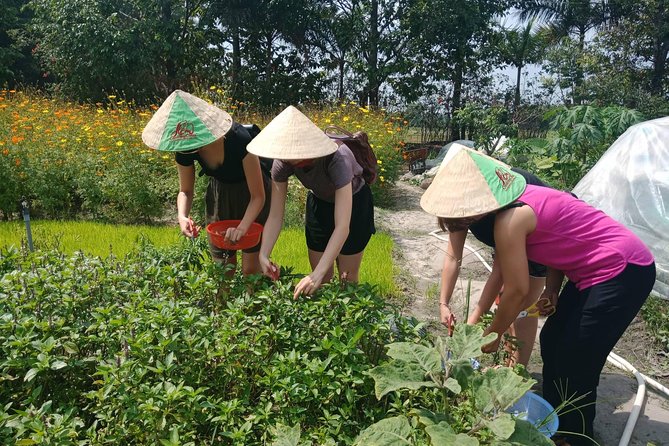 Farm-To-Table Healthy Cooking Class in Ho Chi Minh City - Picking your own ingredients