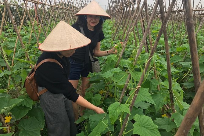 Farm tour & Home cooking class with local family in Hanoi - Cooking four Vietnamese dishes in a family home