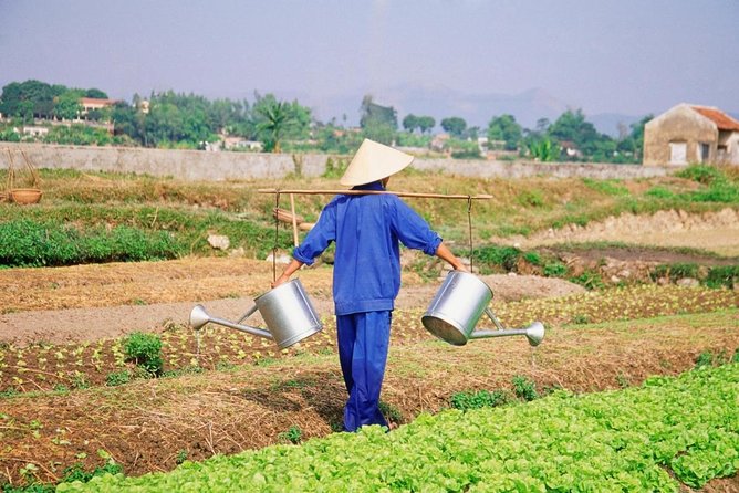 Farming & Cooking Class in Hoi An - Small Group Tour - Key points at a glance