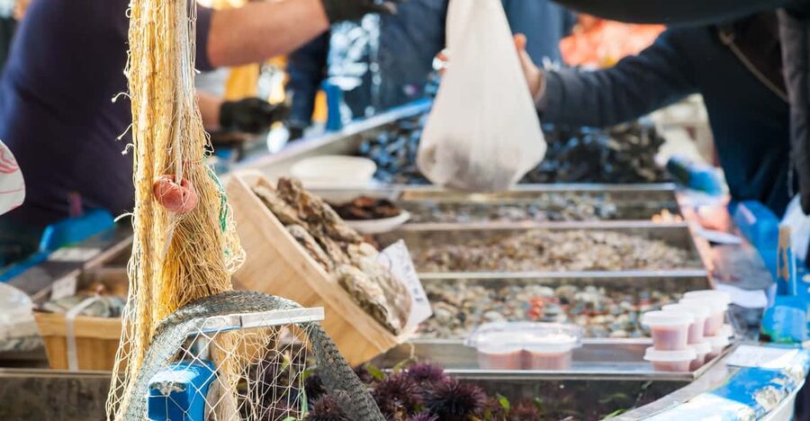 Fasano: Market, Cooking Demo & Meal at a Local's Home - Meeting the people behind the food