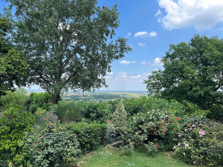 Felsina Culinaria - The Bolognese Cooking Class - A Meal With Views Over the Po Valley