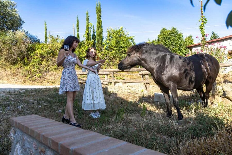 Florence: Cooking Class on a Traditional Tuscan Farm - From Florence’s Leopolda Station to the Chianti Hills