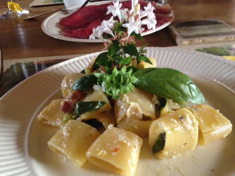 From Agadir: Cooking Class, and Lunch in Berber Village - Who will enjoy this cooking class